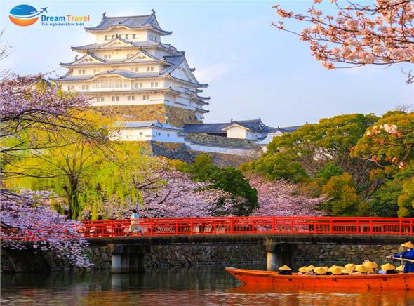 Tour Nhật Bản Cung Đường Vàng Mùa Hoa Anh Đào 2024 KH từ HCM